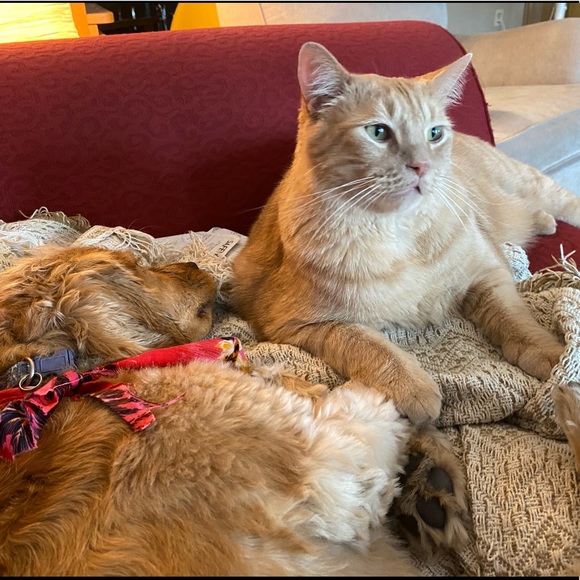 Meet your Posher, Aila (they/them/she/her) - Picture 6 of 7